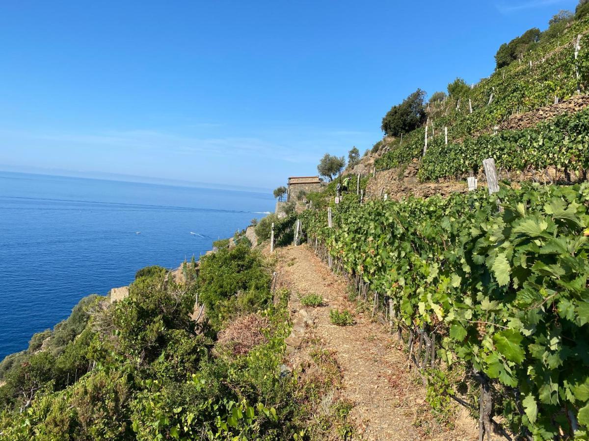 Apartamento Casa Natalina Monterosso al Mare Exterior foto